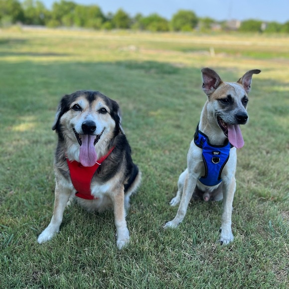 Meet your Posher, Paola - Picture 1 of 10